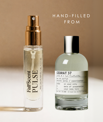 Cedrat 37 U EDP pulse main