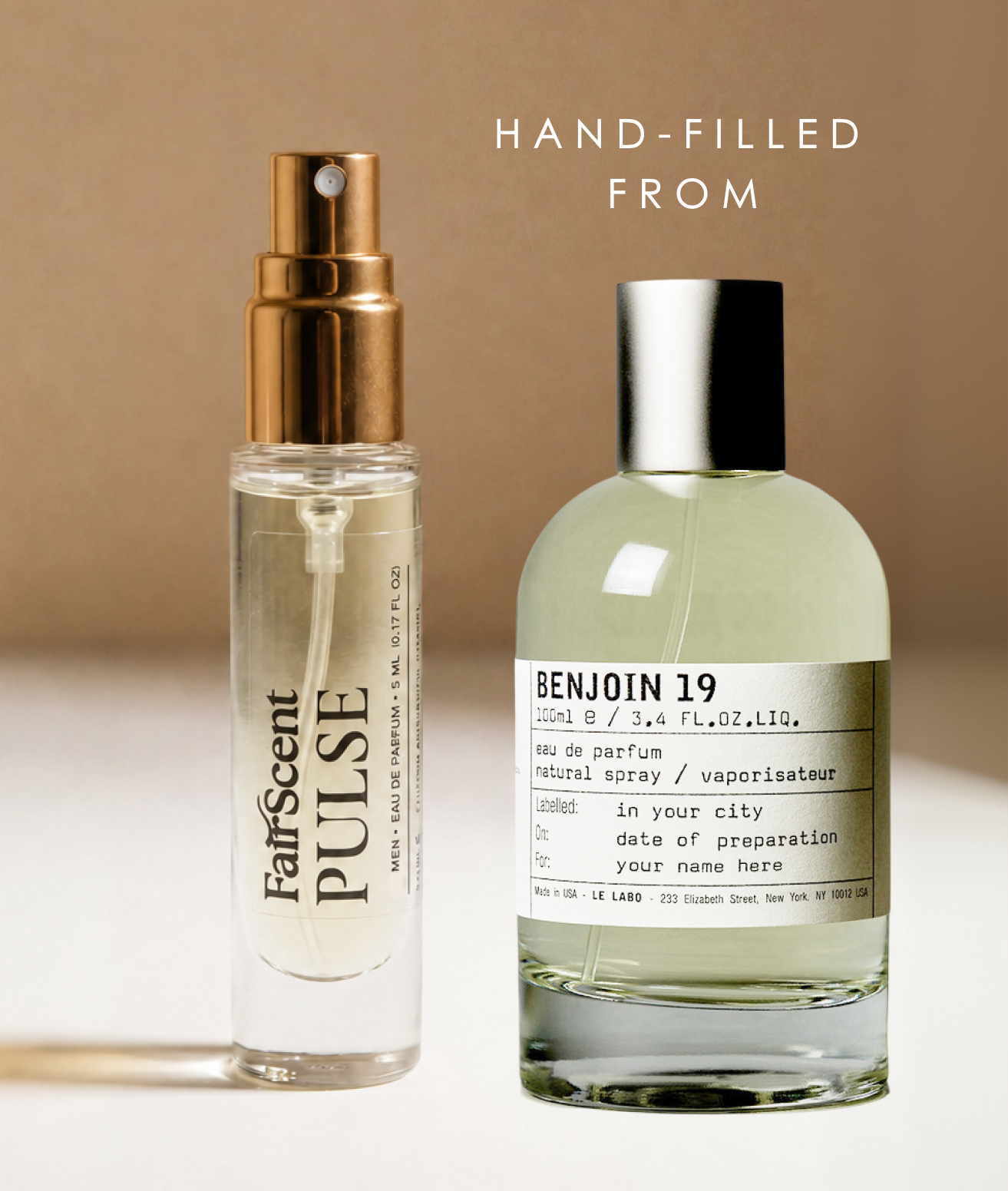 Benjoin 19 U EDP pulse main